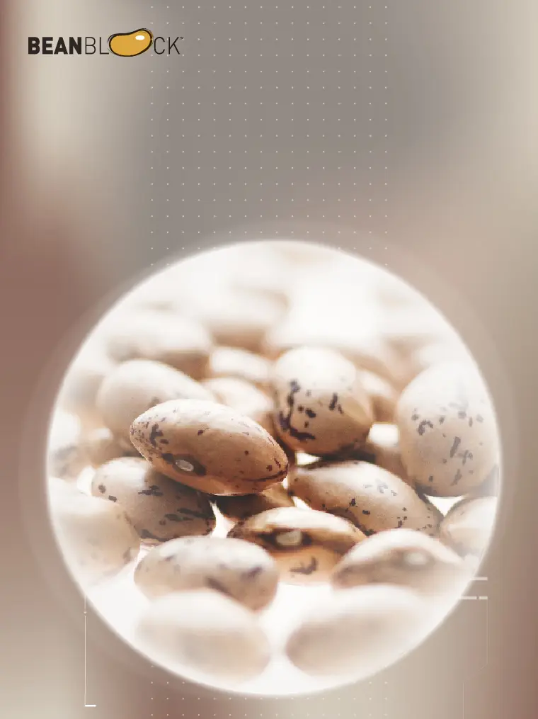 白腎豆萃取 Beanblock®